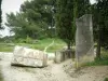 Saint-Rémy-de-Provence - Grandes pedras de Glanum (escultura e escultura) e árvores