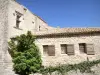 Saint-Restitut - Maisons en pierre du vieux village