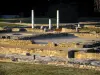Saint-Romain-en-Gal - Gallo-Romeinse archeologische site (nog steeds)