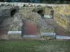 Saint-Romain-en-Gal - Sítio arqueológico galo-romano (restos)