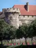 Saint-Saturnin - Château fort et sa tour à créneaux, alignement d'arbres