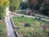 Saint-Sorlin-en-Bugey - Uitzicht op het wassen van Areymont omgeven door bomen, in de Bas-Bugey