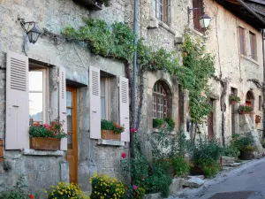 Saint-Sorlin-en-Bugey - Stone houses with vines, plants and flowers 
