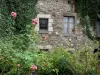 Saint-Suliac - Haus aus Stein mit Kletterpflanzen und Rosenstöcken