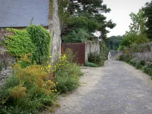 Saint-Valéry-sur-Somme - Cidade alta (cidade medieval): beco forrado com flores