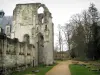 Saint-Wandrille abbey - Ruins of the abbey church, path and trees, in the Norman Seine River Meanders Regional Nature Park