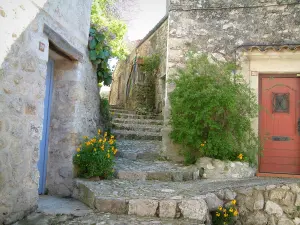 Sainte-Agnès - Steigende Gasse mit ihrer gepflasterten Treppe und ihren Häusern aus Stein, ihre Pflanzen und ihre Blumen