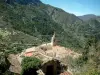 Sainte-Agnès - Vista de los tejados y la torre de la iglesia, las montañas boscosas en el fondo