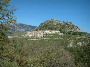 Sainte-Agnès - Gesamtansicht auf das Dorf, mit Olivenbäumen, Sträuchern und Berg bedeckt mit Wald
