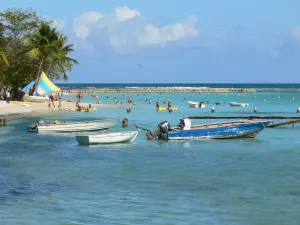 Sainte-Anne - Vue sur la plage du Bourg et les barques flottant sur les eaux de la mer