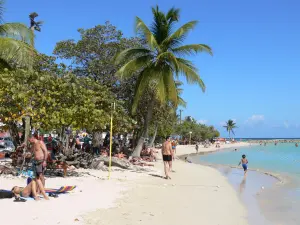 Sainte-Anne - Détente sur le sable fin de la plage du Bourg, à l'ombre des cocotiers et raisiniers, au bord du lagon turquoise
