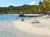 Sainte-Anne - Plage de la Caravelle avec son sable blanc, ses cocotiers et son lagon