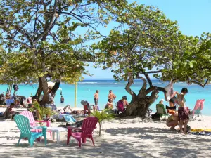 Sainte-Anne - Détente à l'ombre des raisiniers de la plage du Bourg