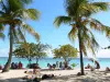 Sainte-Anne - Rusten in de schaduw van kokospalmen en zeedruiven Beach Bourg