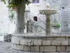 Sainte-Eulalie-de-Cernon - Fountain Square