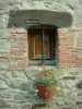 Sainte-Suzanne - Blooming plant in a pot on facade of a house