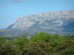 Sainte-Victoire山 - 森林和山脉Sainte-Victoire