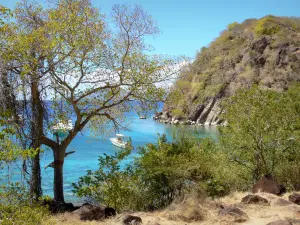 Les Saintes - Ver Petite Anse Sugarloaf