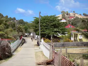 Les Saintes - Calle y casas en la isla de Terre -de - Haut