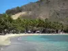 Les Saintes - Vista a la playa Pompierre con cocos y agua turquesa del mar