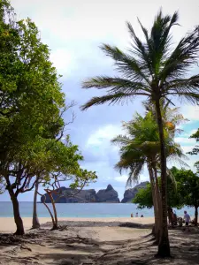 Les Saintes - Playa Pompierre y cocoteros que dan al mar y las rocas perforadas