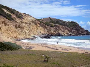 Les Saintes - Vista de la playa de Grande Anse, en la isla de Terre -de - Haut