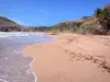 Les Saintes - Grand Anse strand van goudgeel zand op het eiland Terre -de - Haut