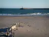 Les Saintes-Maries-de-la-Mer - Plage de sable avec rochers s'avançant dans la mer