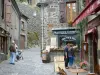 Salers - Ruelle pavée bordée de maisons