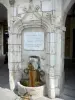 Salies-de-Béarn - Jabalí Fontaine