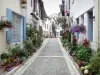 Salies-de-Béarn - Casas carril forradas con flores