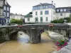Salies-de-Béarn - Pont enjambant la rivière Saleys et façades de maisons de la vieille ville