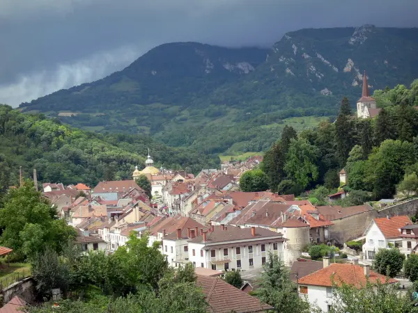 Salins-les-Bains - Campanário da Igreja de Saint-Anatoile, cúpula da capela de Notre-Dame-Libératrice, casas e edifícios da cidade termal, árvores e montanhas