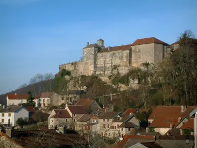 Salmaise castle
