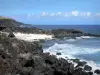 Salt Point - Costa rochosa e Oceano Índico