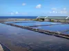 Salt Point - Salines à beira do Oceano Índico