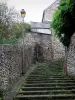 Samambaias - Escadas e poste