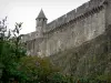 Samambaias - Cerco fortificado (muralhas) do castelo e arbustos em primeiro plano