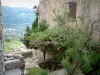 Sant'Antonino - Bomen, planten en eigen dorp (in Balagne) heuvel op de achtergrond