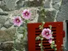 São Sulíaco - Hollyhocks (flores), obturador vermelho e fachada de pedra de uma casa