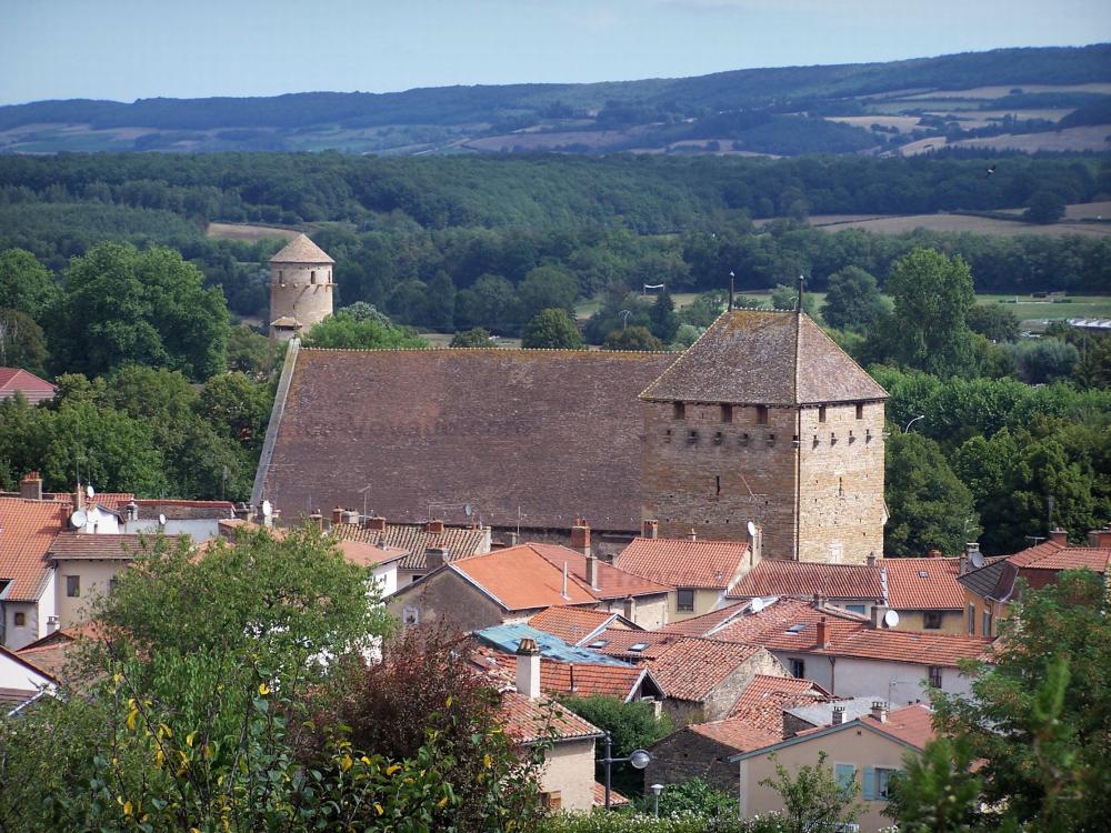 Guide de la Saône-et-Loire - Cluny - Tour du Moulin, toit de l'ancien Farinier (abbaye de Cluny), toits de maisons, arbres, tour Ronde et forêt en arrière-plan