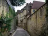 Sarlat-la-Canéda - La calle llena de muros y casas de piedra, en el Périgord