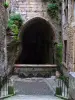 Sarlat-la-Canéda - Escaleras a la fuente de San María, en el Périgord