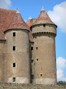 Sarzay castle - Towers of the medieval fortress