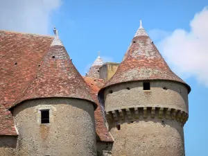 Sarzay castle - Towers of the medieval fortress