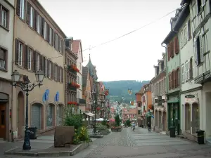 Saverne - Grand'Rue avec ses maisons anciennes, forêt en arrière-plan