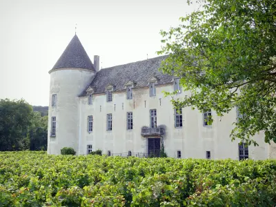 Savigny-lès-Beaune castle