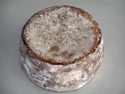 Savoie Tomme cheese