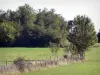 Savoyard Bresse - 草原，栅栏和树木