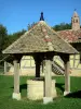 Savoyische Bresse - Brunnen und sarazenischer Schornstein der Grange du Clou (Bresse Bauernhof); in Saint-Cyr-sur-Menthon